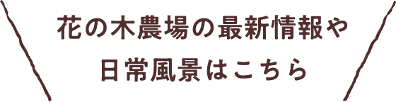 花の木農場の最新情報や日常風景はこちら